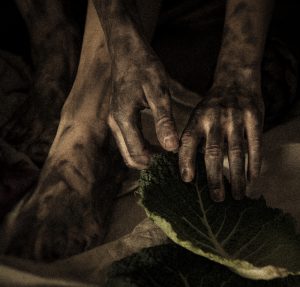 Terra a gallery by Valerio Magini