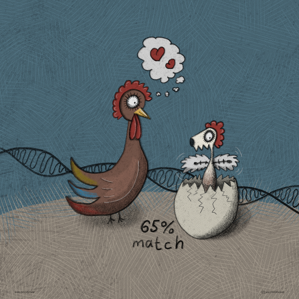 DNA Match - Clip00142 - Illustrazione di Valerio Magini