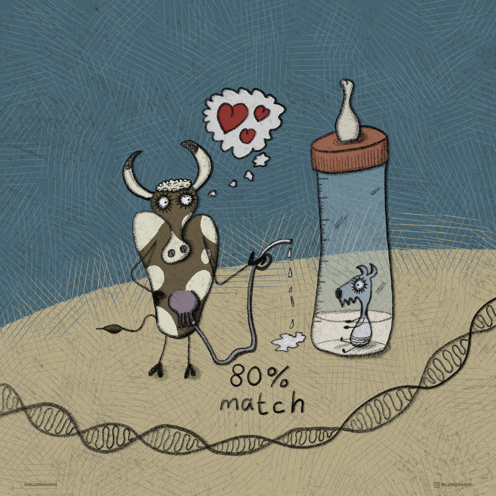 DNA Match - Clip00143 - Illustrazione di Valerio Magini