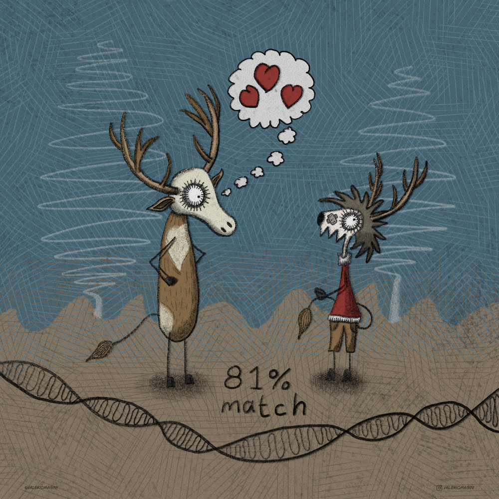 DNA Match - Clip00150 - Illustrazione di Valerio Magini